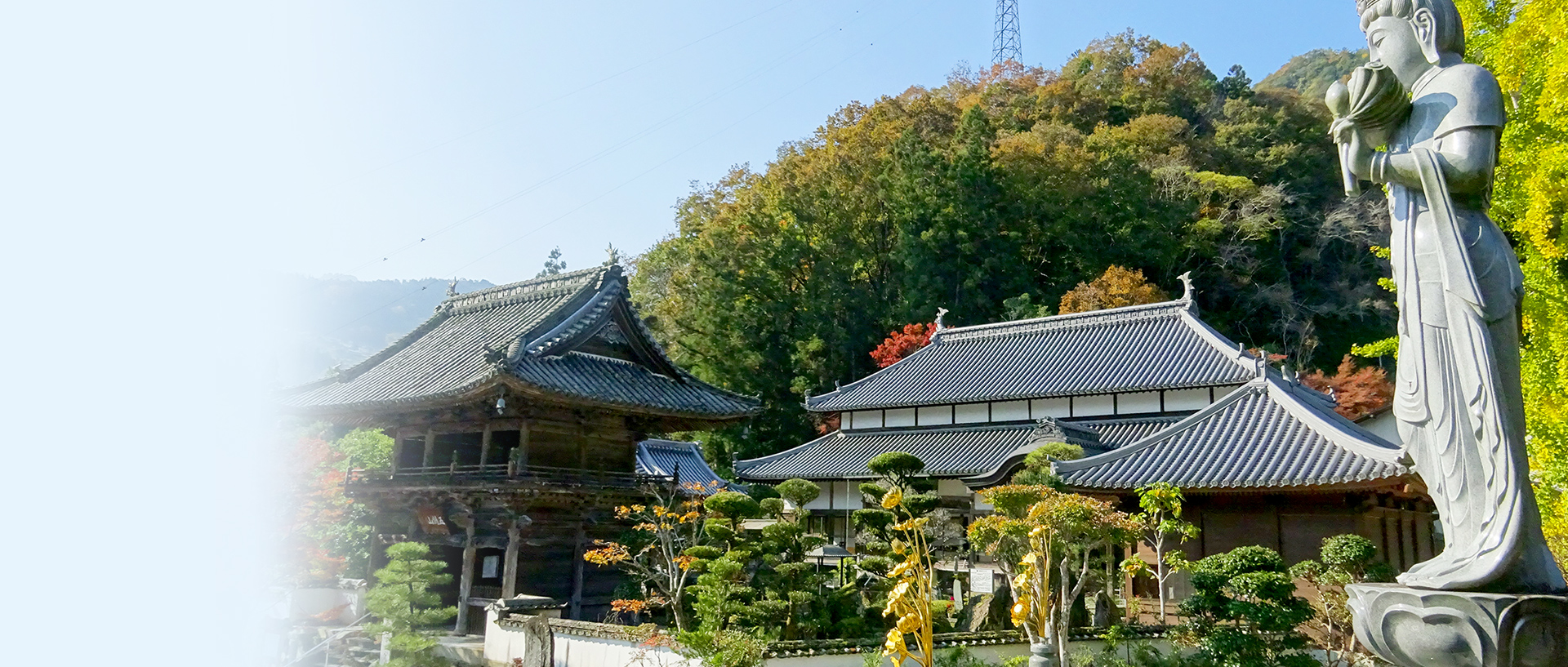 宗教法人 東福寺