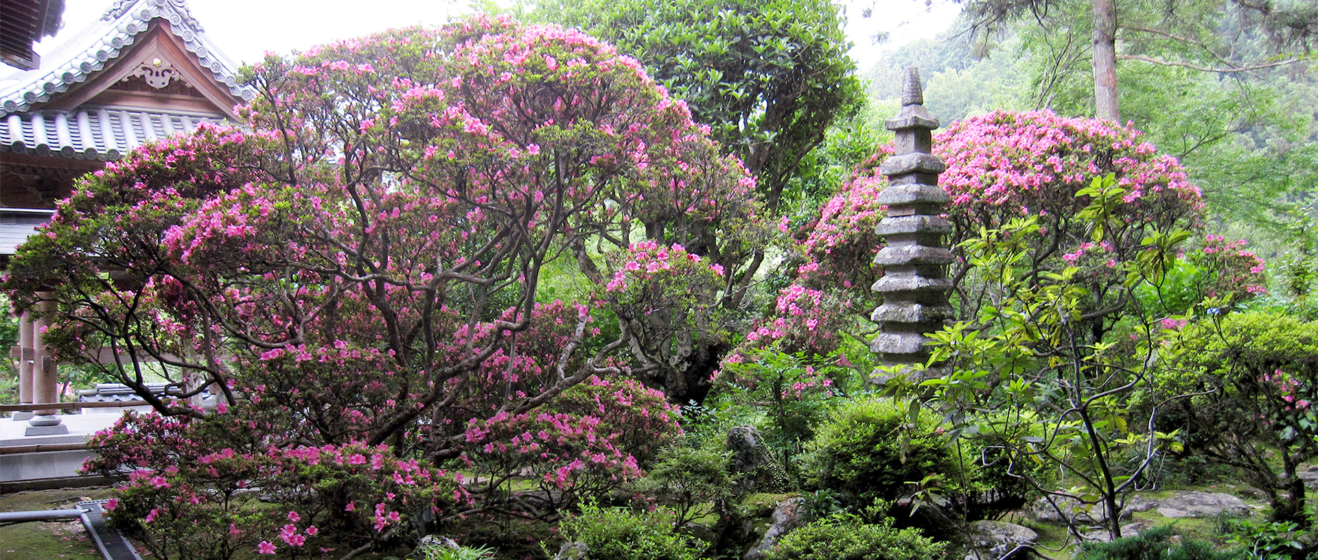 宗教法人 東福寺