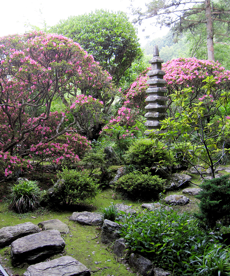 東福寺